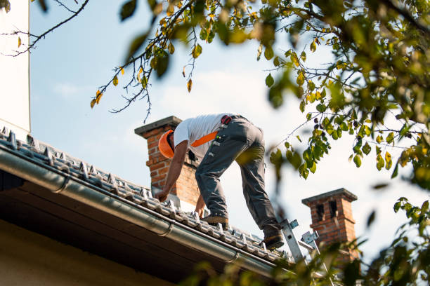 Best Storm Damage Roof Repair  in Beulaville, NC