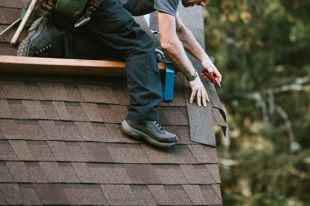 Best Roof Restoration Services  in Beulaville, NC